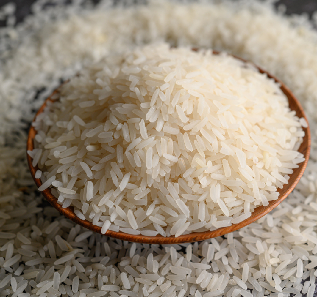 Swarna Raw Rice Fields
